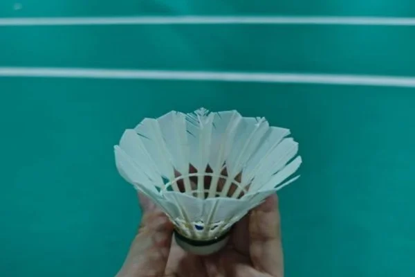 CBA常规赛上海久事对广东宏远王哲林与胡明轩对决分析全解读
